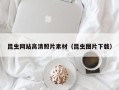 石嘴山昆虫网站高清照片素材（昆虫图片下载）